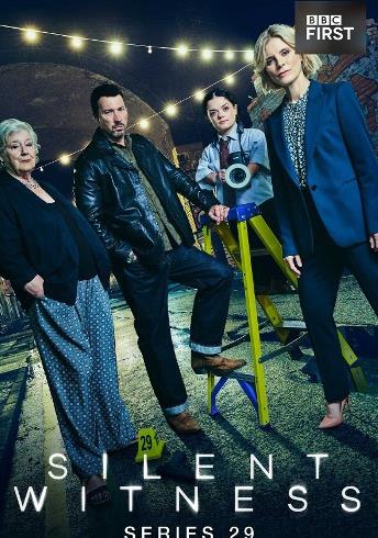 无声的证言 第二十九季